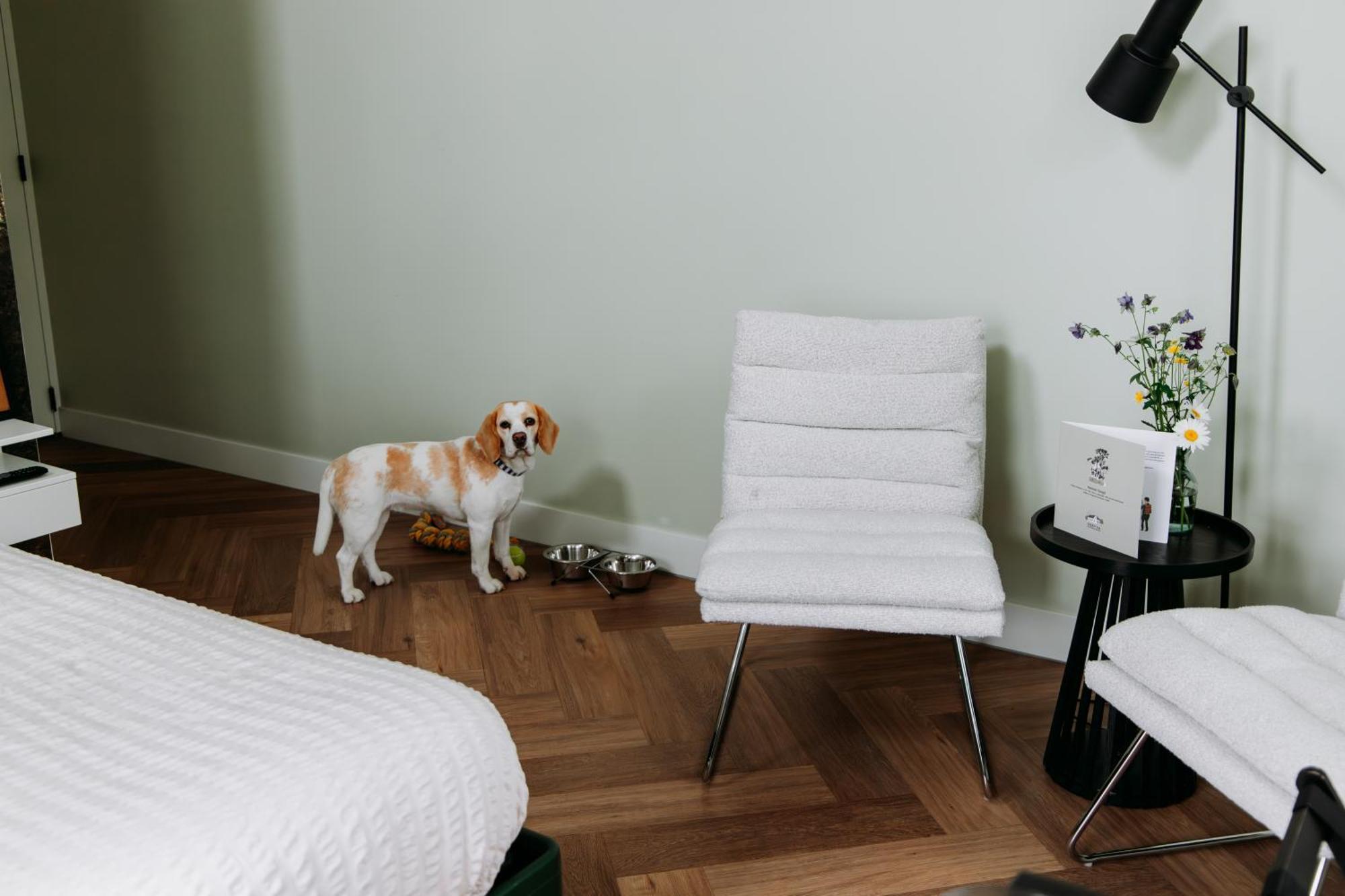 Boutique B&B Oud Aa Breukelen Exteriör bild